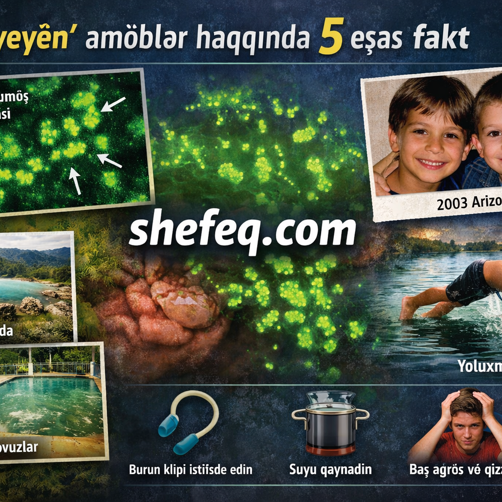 “Beyin yeyən” amöblər haqqında bilməli olduğunuz 5 əsas fakt